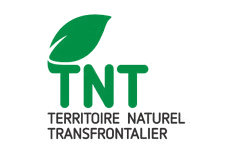 TNT